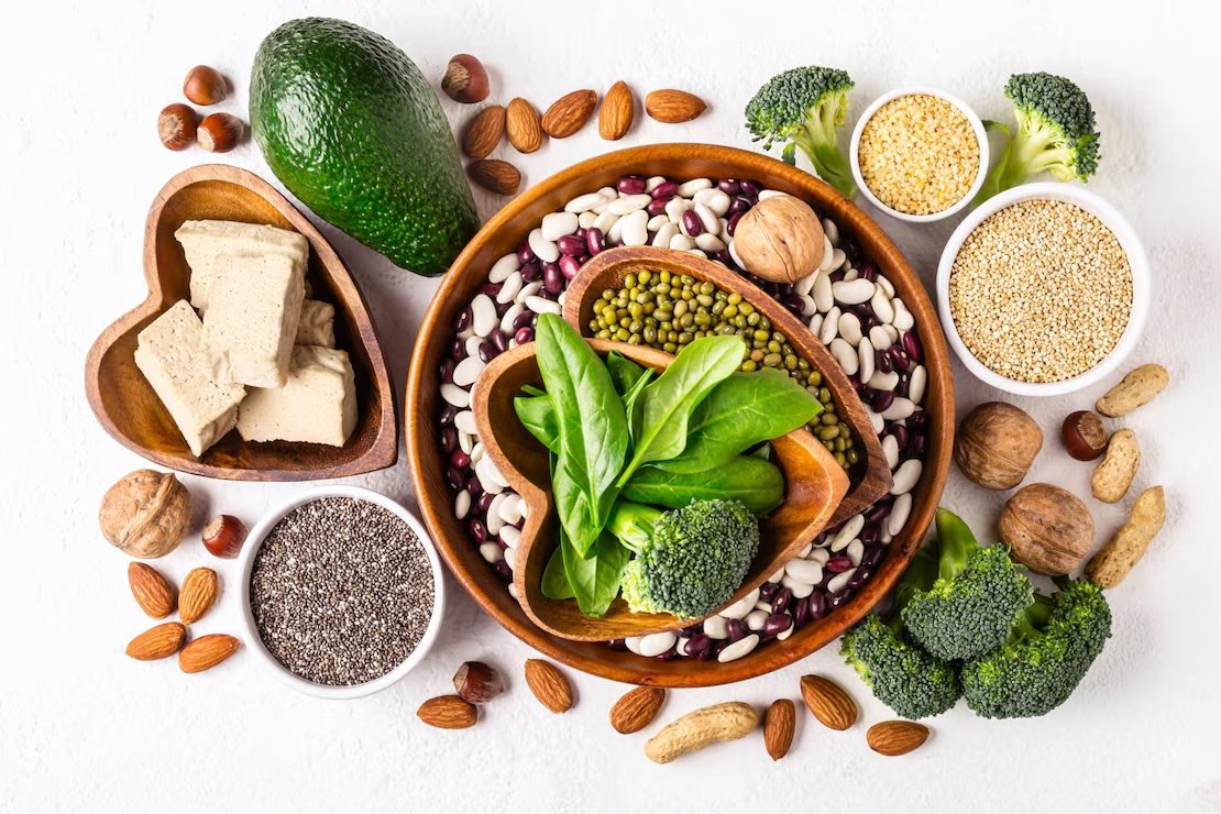 Plant-based Protein Sources