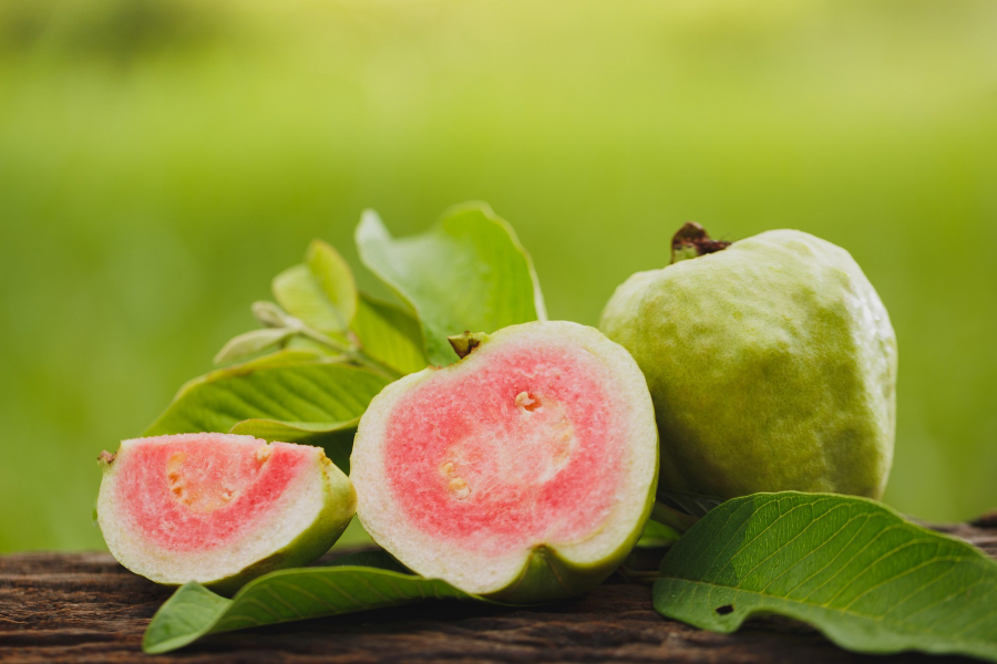 Guava