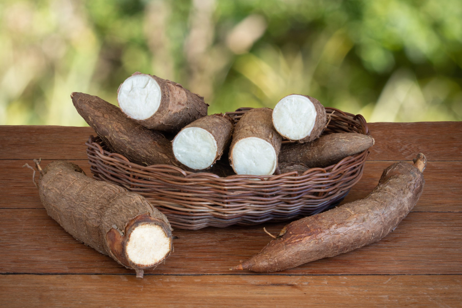 Cassava
